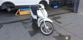 parent-vehicle